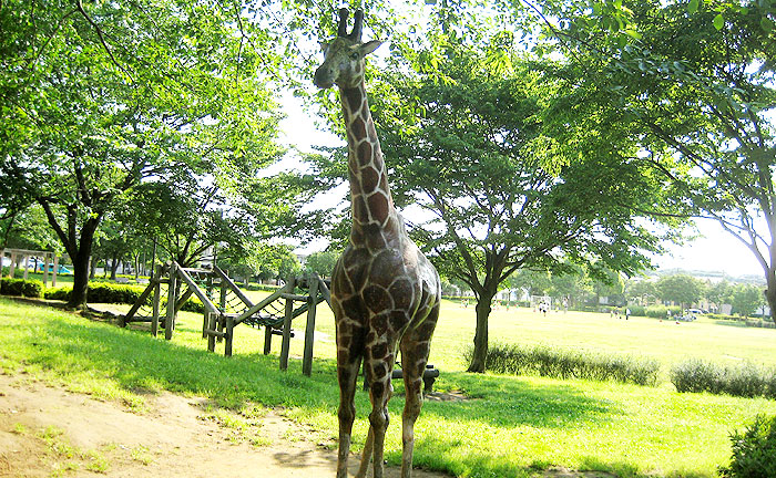 ユーカリが丘南公園