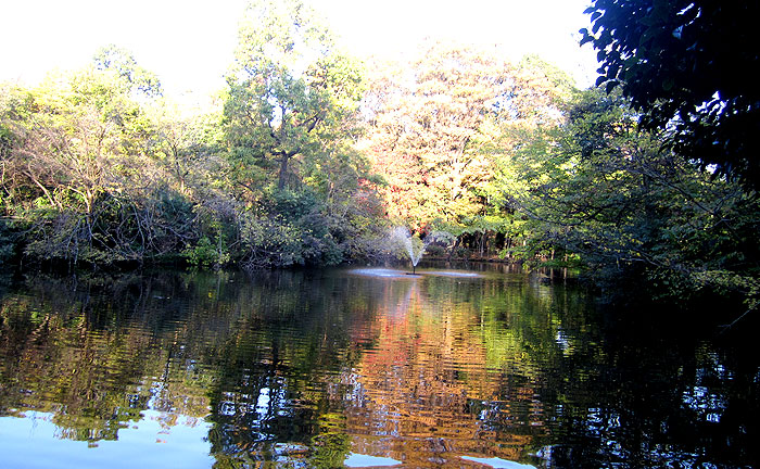 和田堀公園