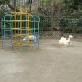 公園探訪