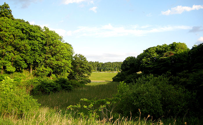 松虫姫公園