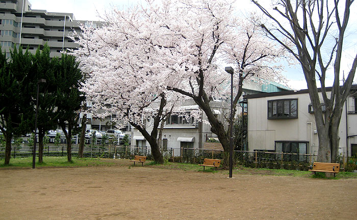 富士見ランド公園