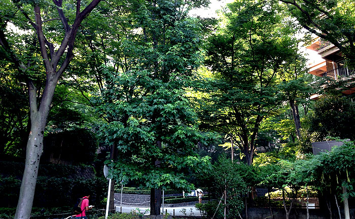 広尾東公園