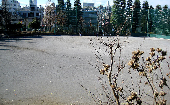 北新宿公園