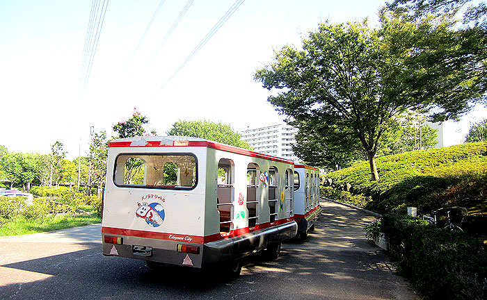 富士公園