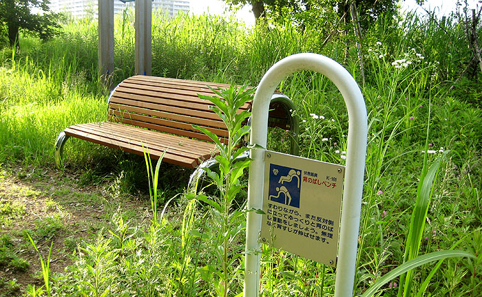 松虫姫公園