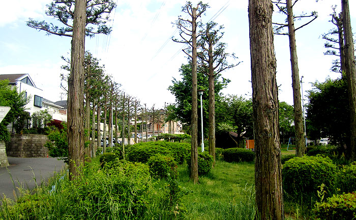 つくし野ながぐつ児童公園