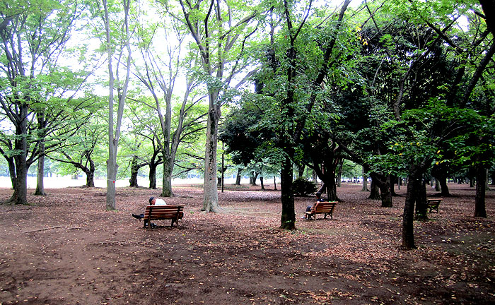 代々木公園 公園探訪 公園で遊ぼう