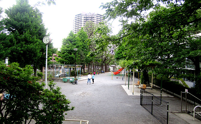 権現山公園