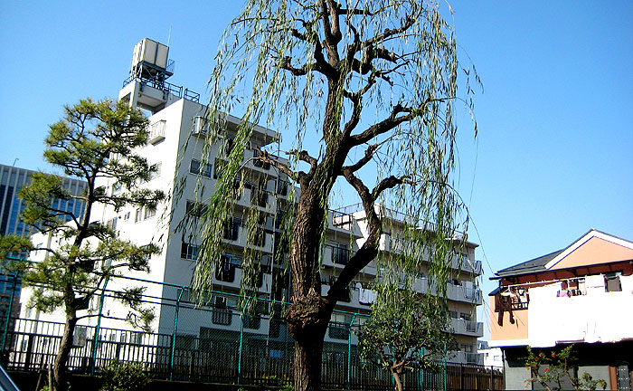 東陽一丁目第一公園