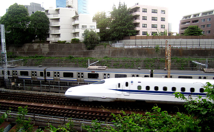 権現山公園