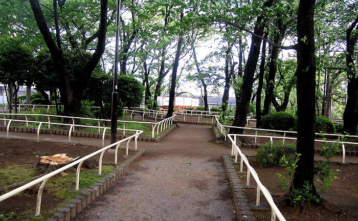 権現山公園