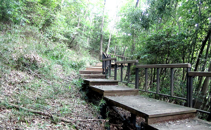 蓮正寺公園