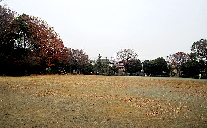 泉天ヶ谷公園