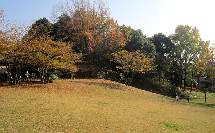 新石川公園