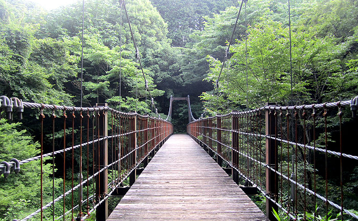 蓮正寺公園