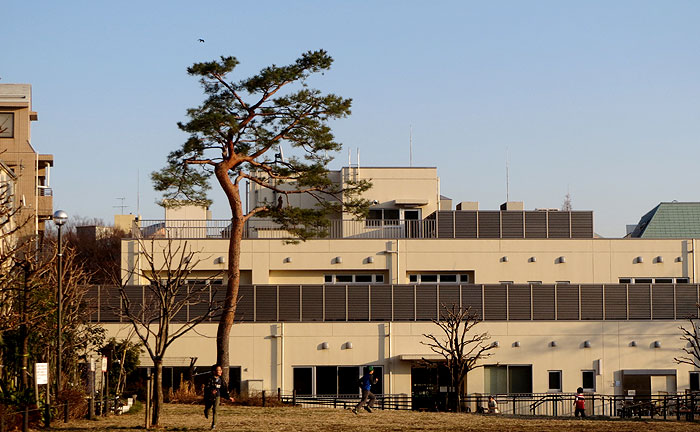 参宮橋公園