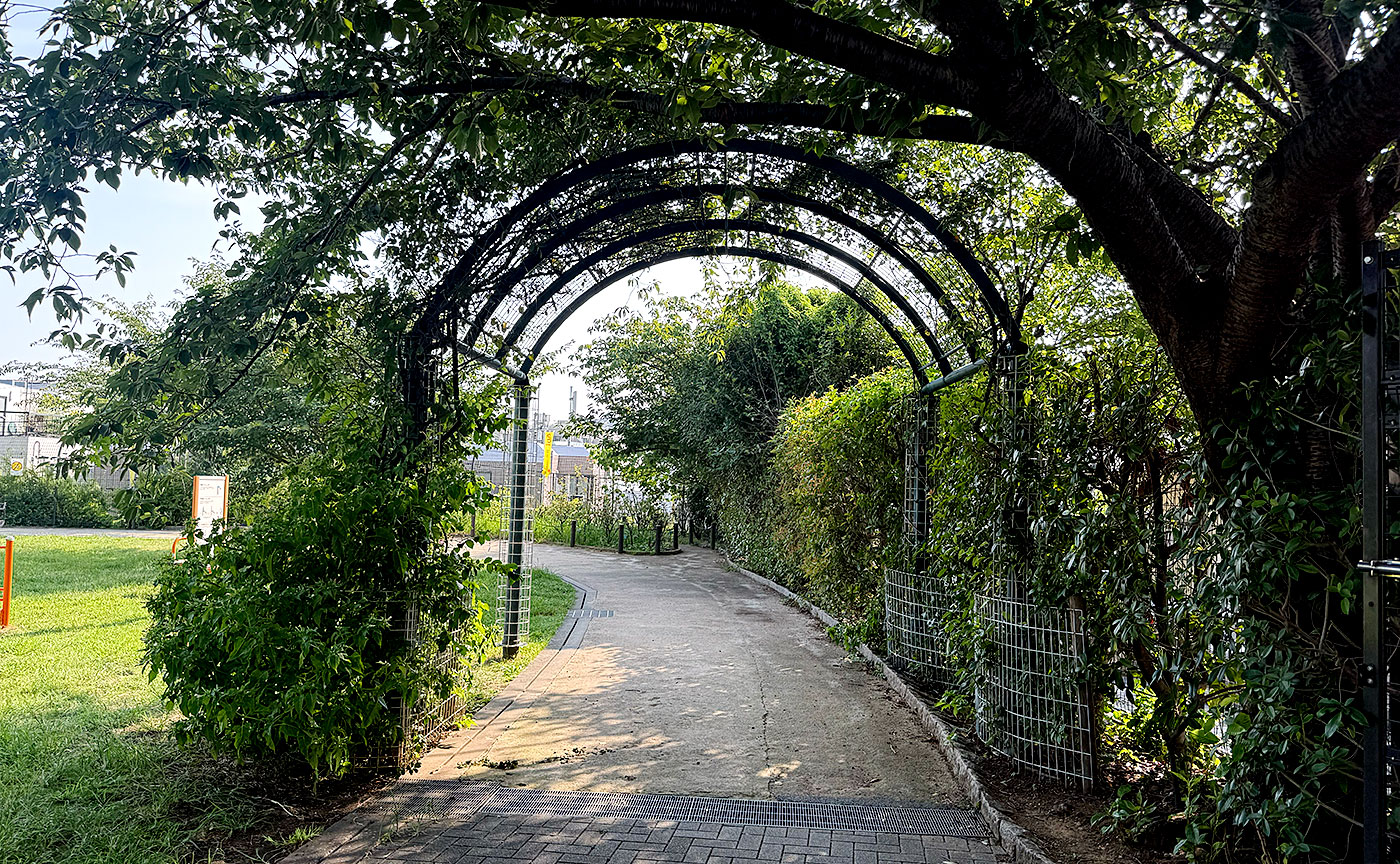 参宮橋公園