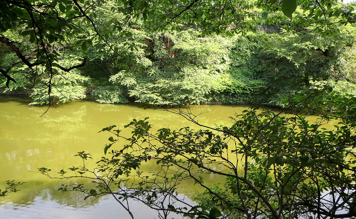 九段坂公園