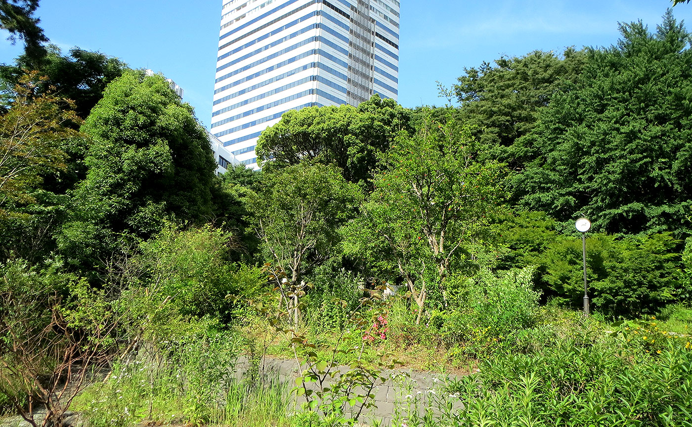 清水谷公園