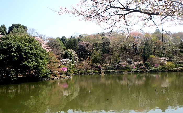 薬師池公園