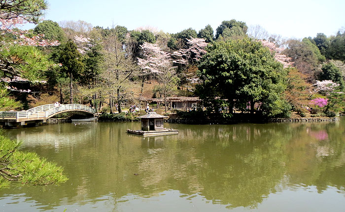 薬師池公園