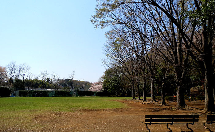 山崎自然公園