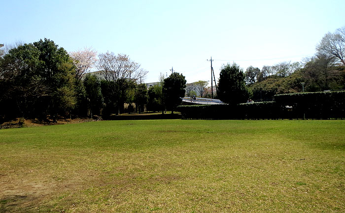 山崎自然公園