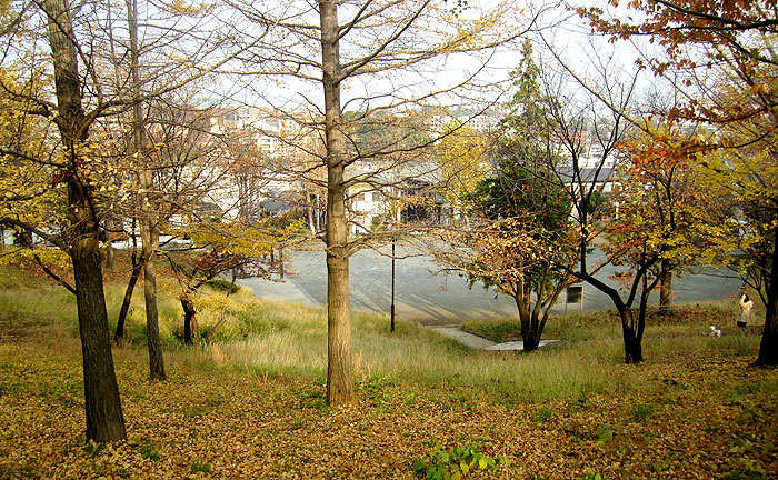 あざみ野一丁目公園