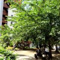 公園探訪
