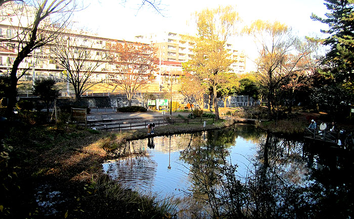 藤が丘公園