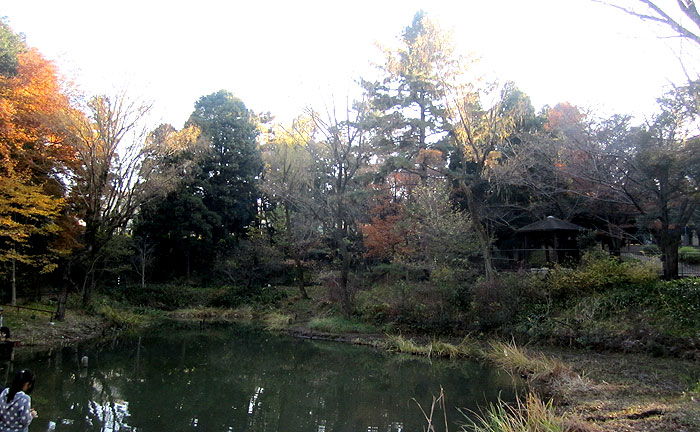 藤が丘公園