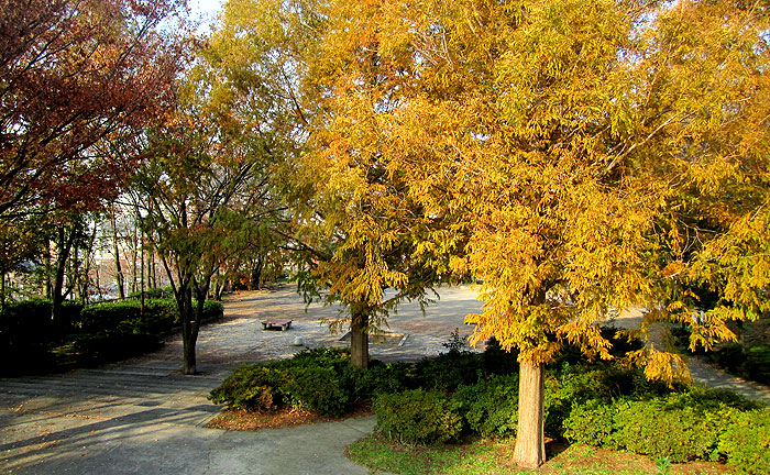 高津公園