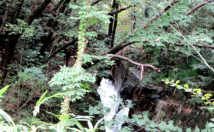 高蔵寺公園