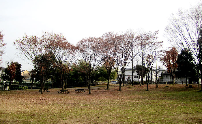 荏田猿田公園