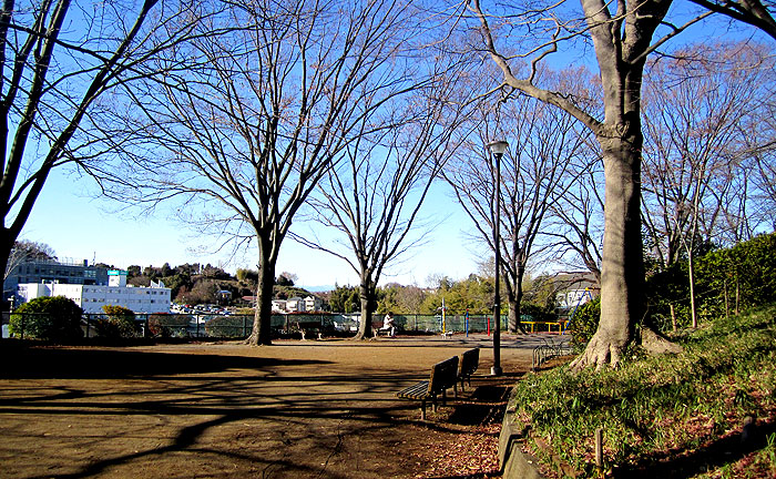 美しが丘第七公園