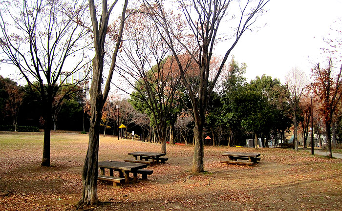 荏田猿田公園