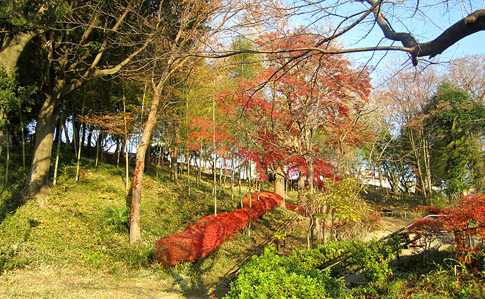 田奈第3公園