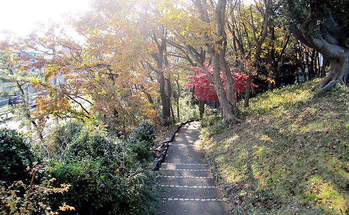 藤が丘第二公園