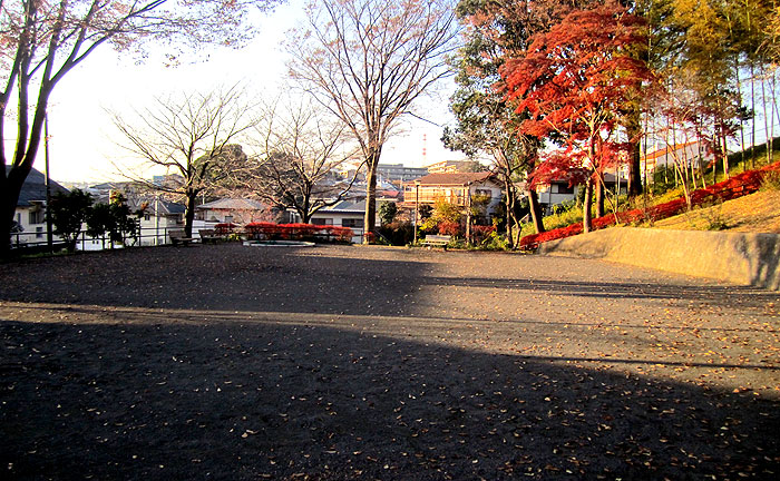 田奈第3公園