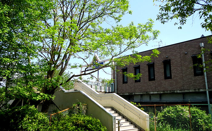 弥生台駅前公園