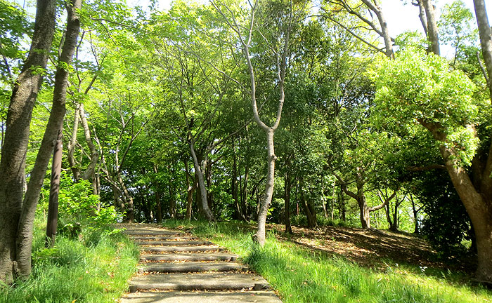 弥生台東公園