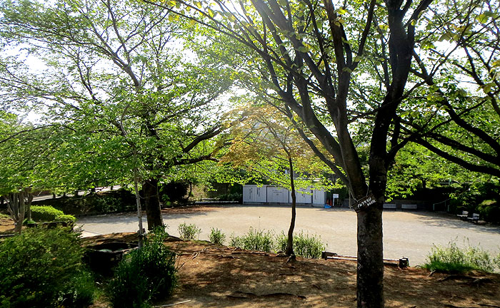 緑園東田谷公園