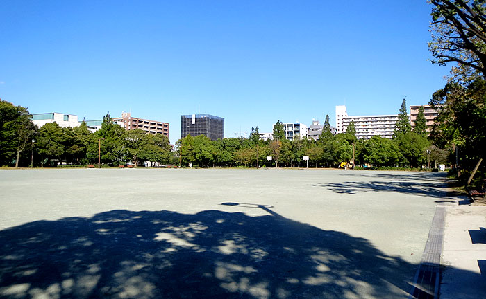 木場公園