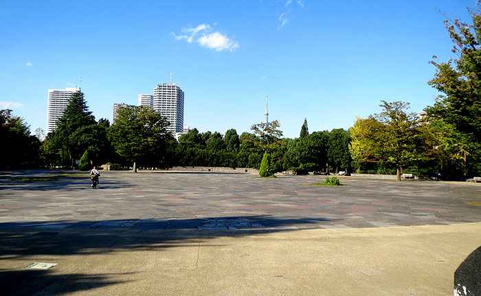 木場公園