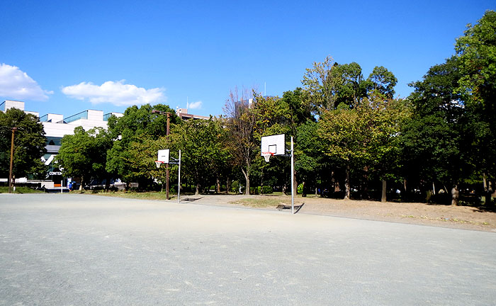 木場公園