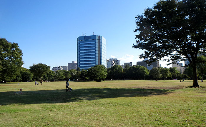 木場公園