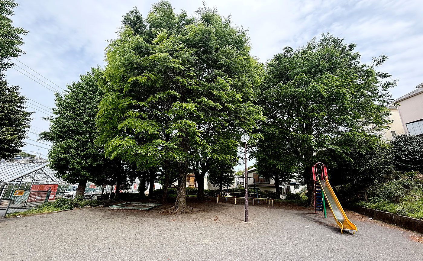 千代ヶ丘第1公園