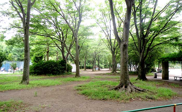 日向根公園