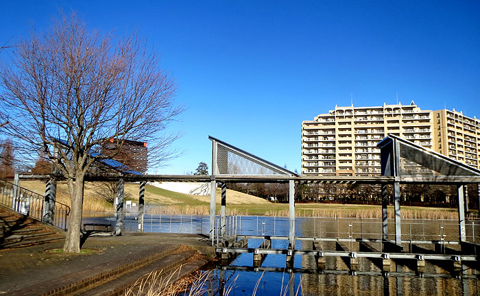 草深公園