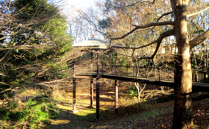 小室公園